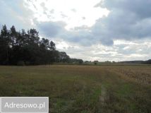 Działka inwestycyjna Kopaszyn. Zdjęcie 3