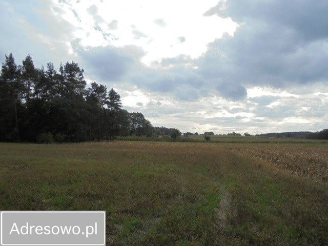 Działka inwestycyjna Kopaszyn. Zdjęcie 4