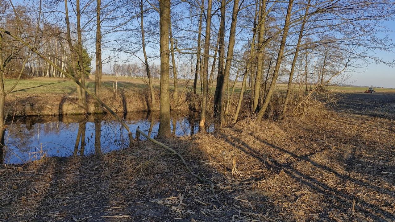 Działka rolno-budowlana Tomaszew. Zdjęcie 14