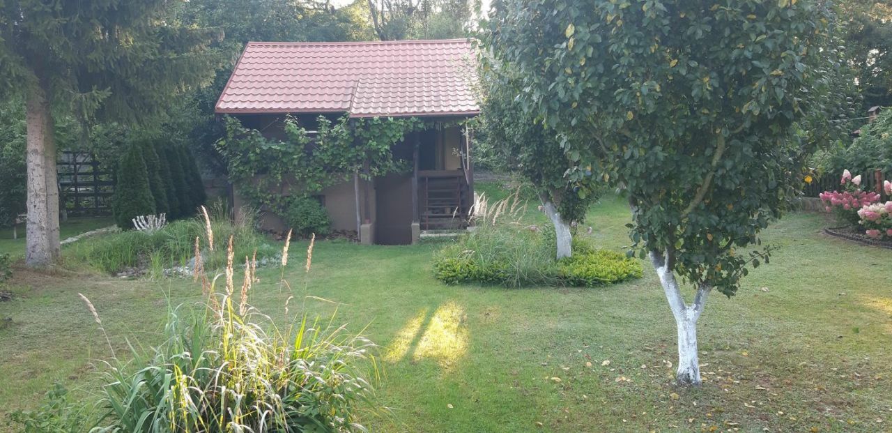 Działka rod Śrem. Zdjęcie 3