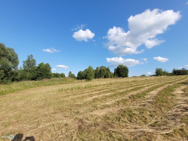 Działka rolna Masłów Drugi. Zdjęcie 10