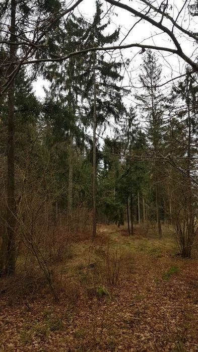 Działka Rubcowo. Zdjęcie 3