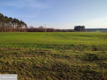 Działka rolna Koteże. Zdjęcie 4