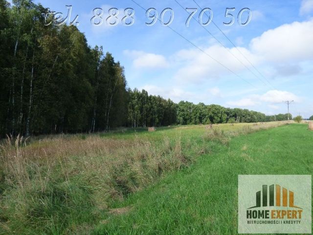 Działka Trójca. Zdjęcie 3