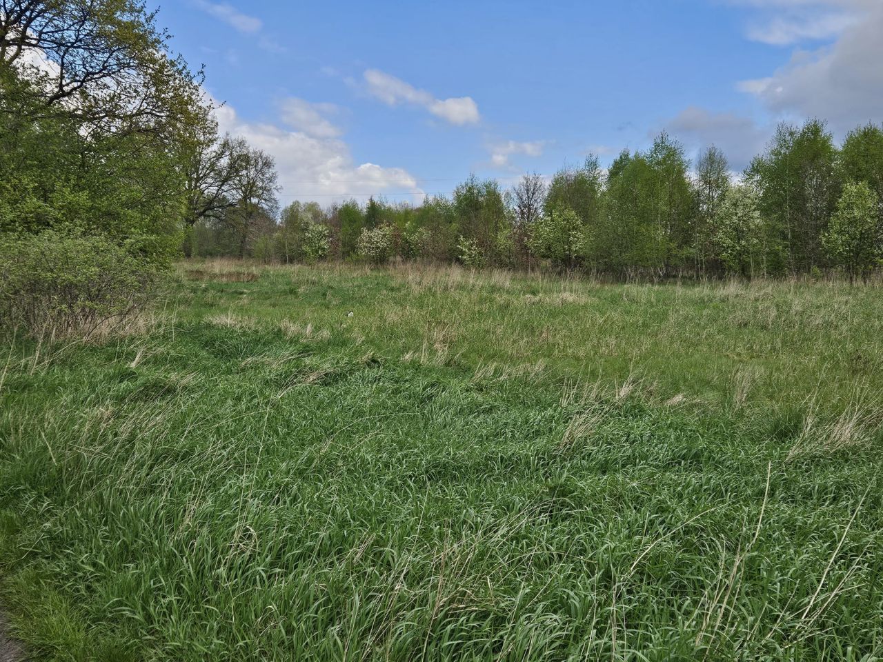 Działka budowlana Czarnkowo. Zdjęcie 14