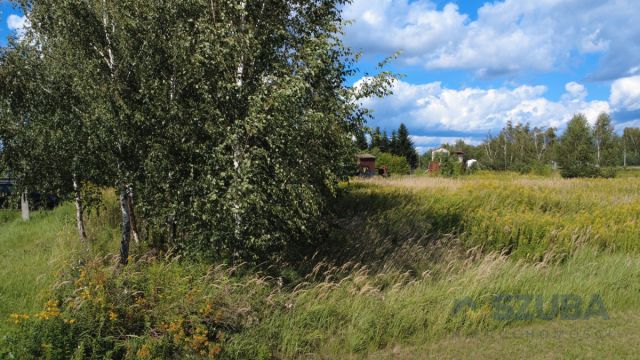 Działka inwestycyjna Myszczyn, ul. Zaborowska. Zdjęcie 12