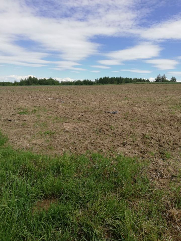 Działka rolna Brzoskwinia