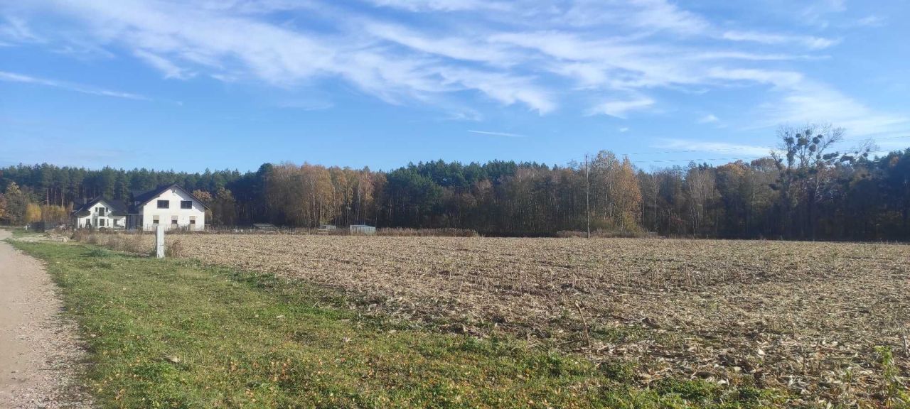 Działka rolna Gzin, ul. Lipowa. Zdjęcie 4