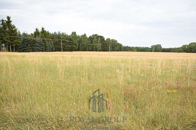 Działka siedliskowa Górka. Zdjęcie 6