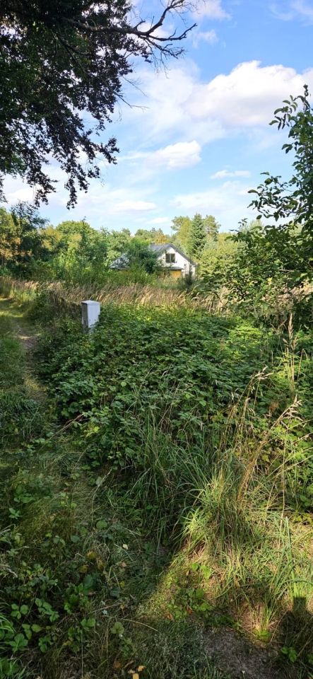 Działka rekreacyjna Dłusko. Zdjęcie 4