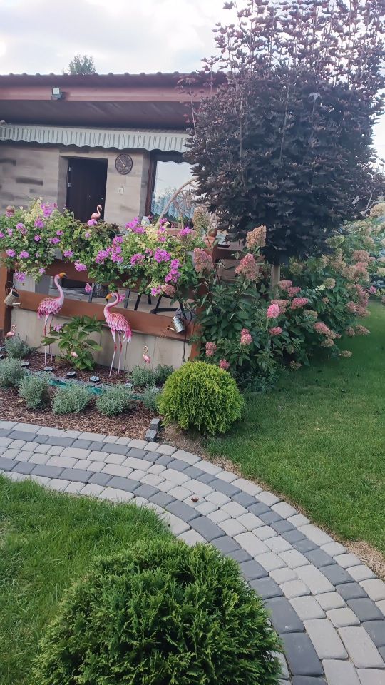 Działka rod Krostoszowice. Zdjęcie 1