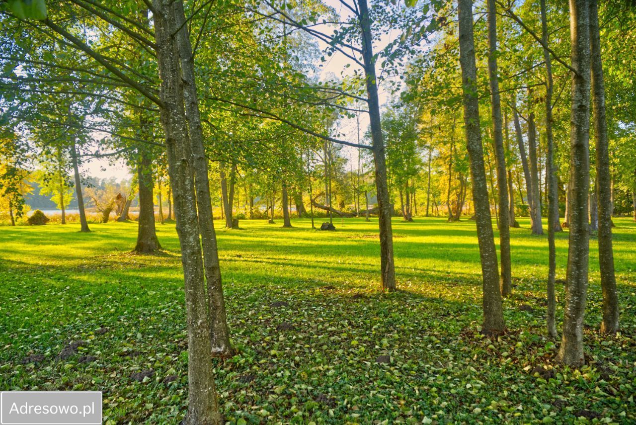 Działka rolno-budowlana Świętajno. Zdjęcie 13
