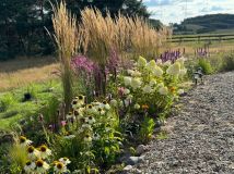 Działka budowlana Połęczyno. Zdjęcie 4