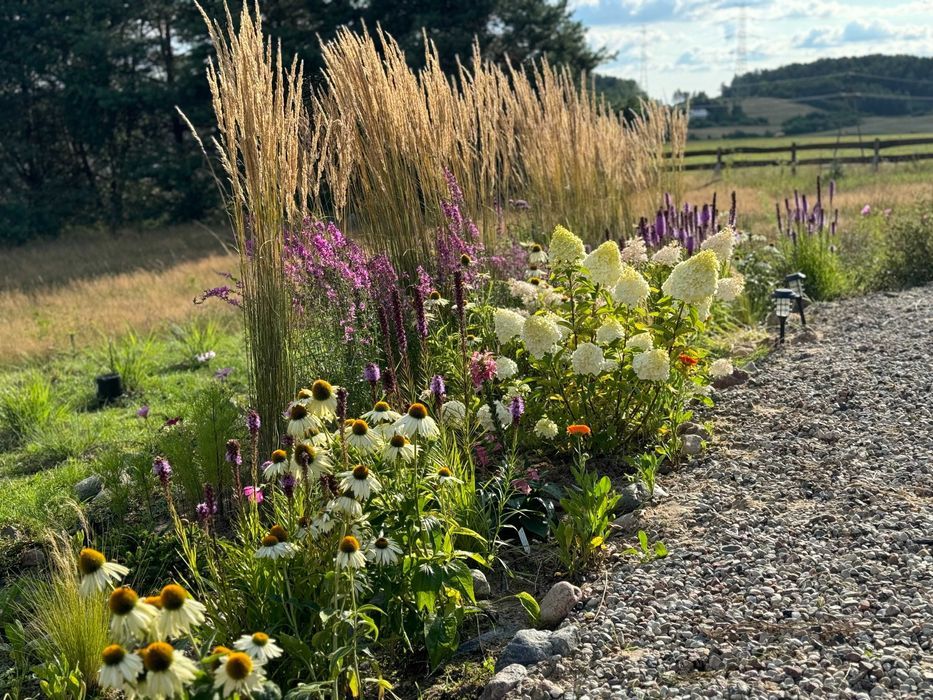 Działka budowlana Połęczyno. Zdjęcie 5