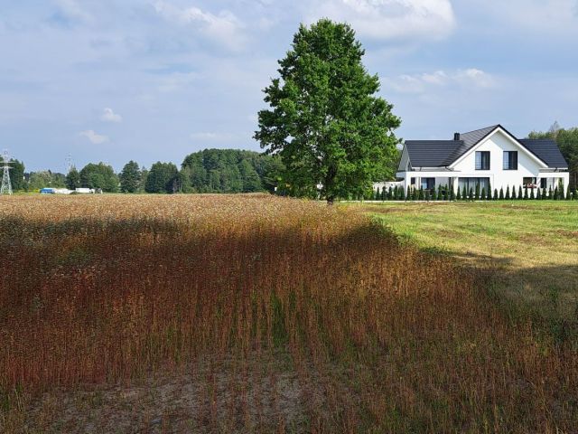 Działka budowlana Olmonty. Zdjęcie 1