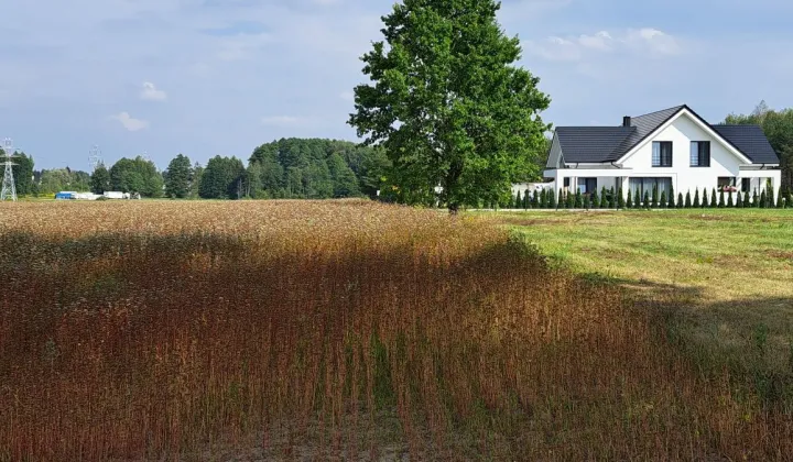 Działka budowlana Olmonty