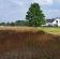 Działka budowlana Olmonty. Zdjęcie 1