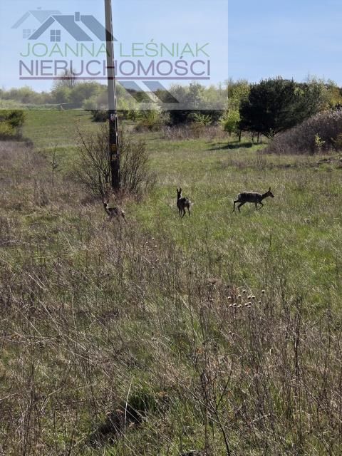 Działka budowlana Rodaki, ul. Słoneczna. Zdjęcie 1