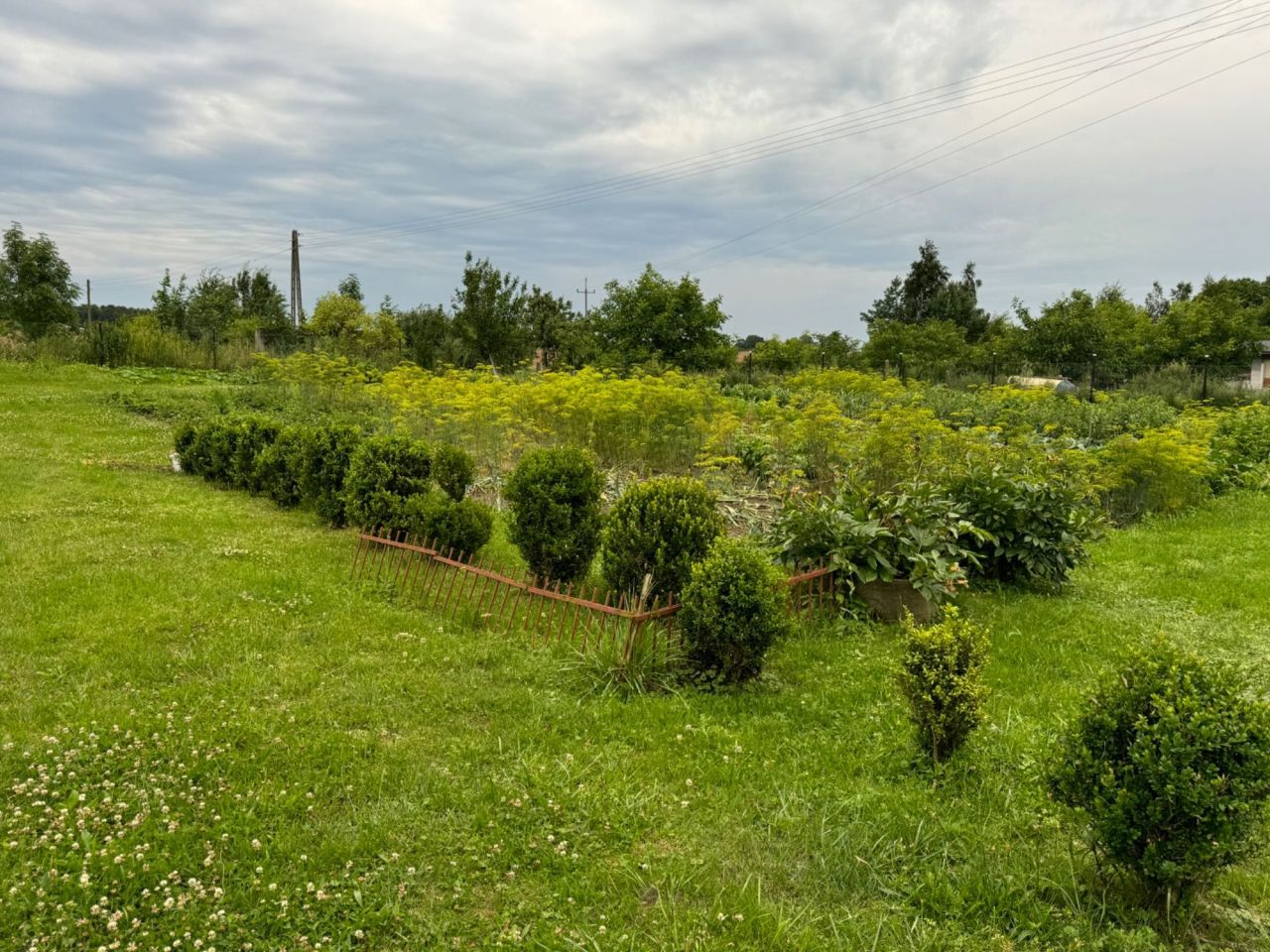 Działka budowlana Sicienko. Zdjęcie 7