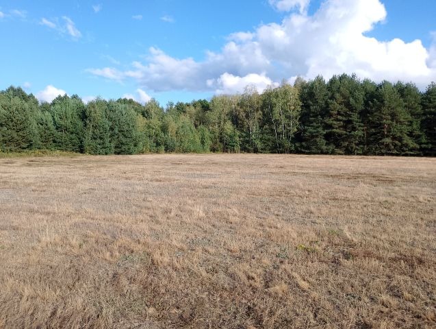 Działka budowlana Franciszków, ul. Jarzębinowa. Zdjęcie 1