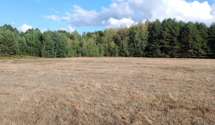 Działka budowlana Franciszków, ul. Jarzębinowa