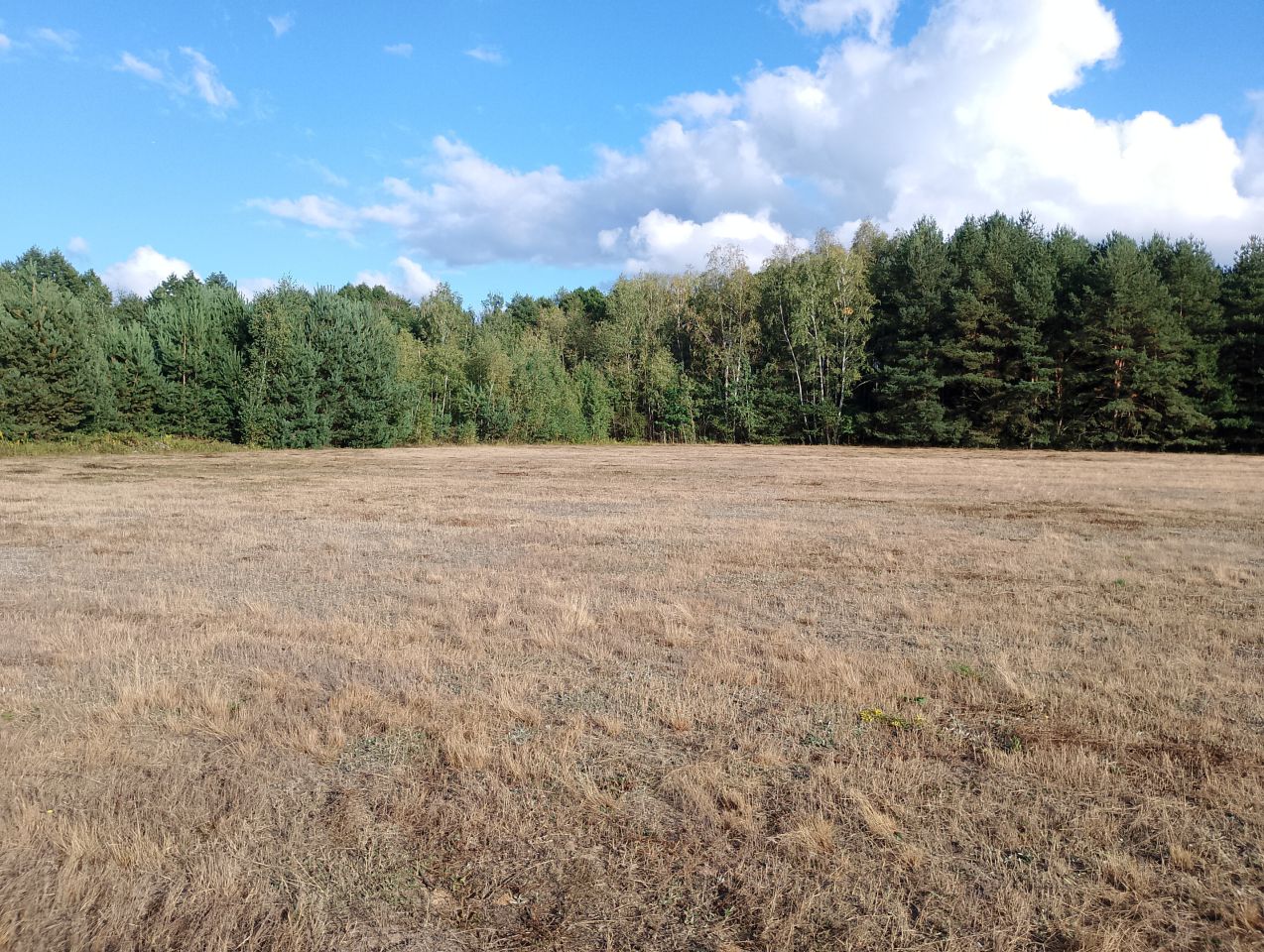 Działka budowlana Franciszków, ul. Jarzębinowa