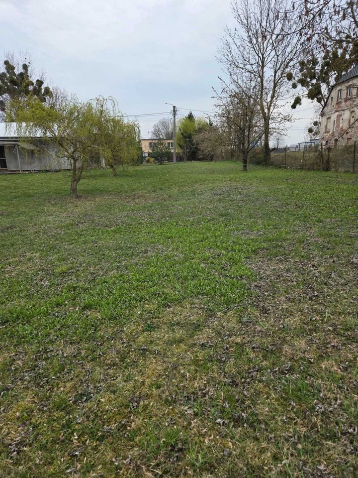 dom wolnostojący Papowo Toruńskie. Zdjęcie 6