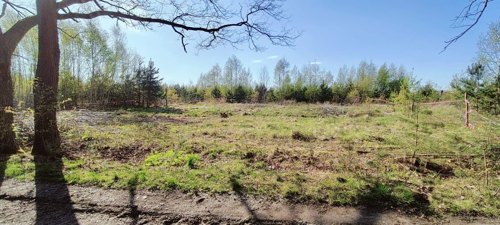 Działka budowlana Nowa Kopernia. Zdjęcie 2