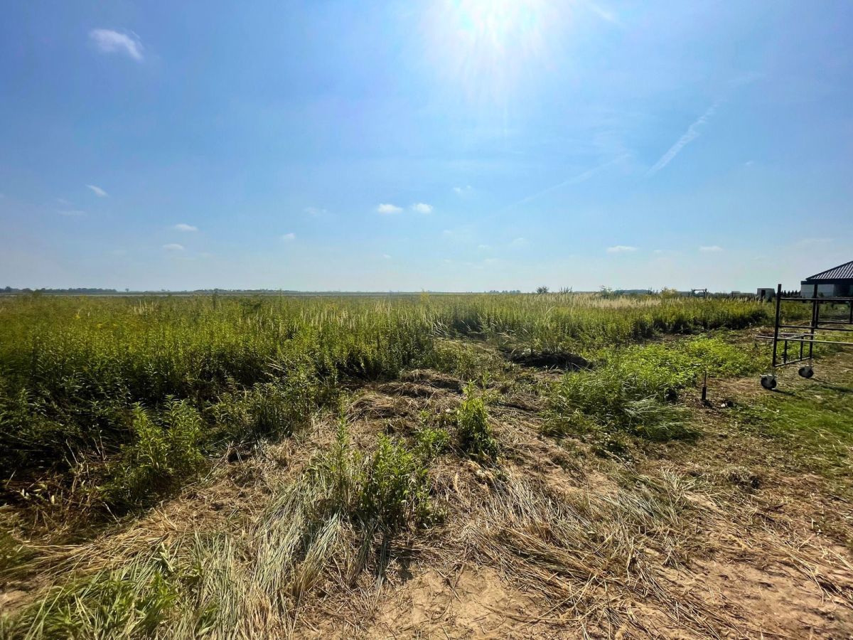 Działka inwestycyjna Jenkowice. Zdjęcie 6