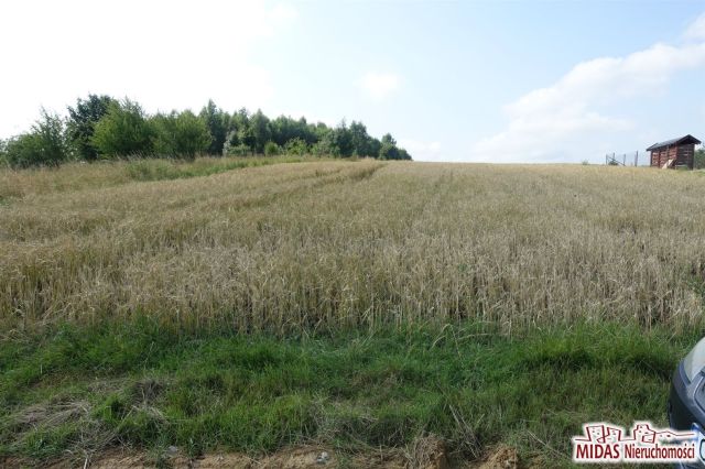 Działka Kowal. Zdjęcie 2