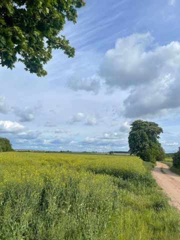 Działka rolna Ciężkowo. Zdjęcie 1