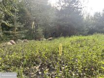 Działka budowlana Lelewo. Zdjęcie 4