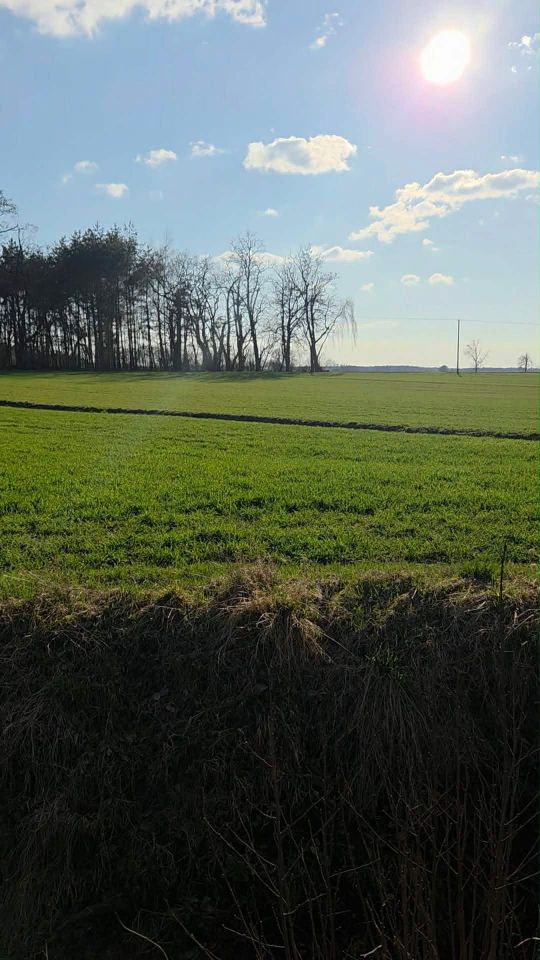 Działka budowlana Szetlew. Zdjęcie 7