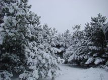 Działka rolna Uniemino. Zdjęcie 3