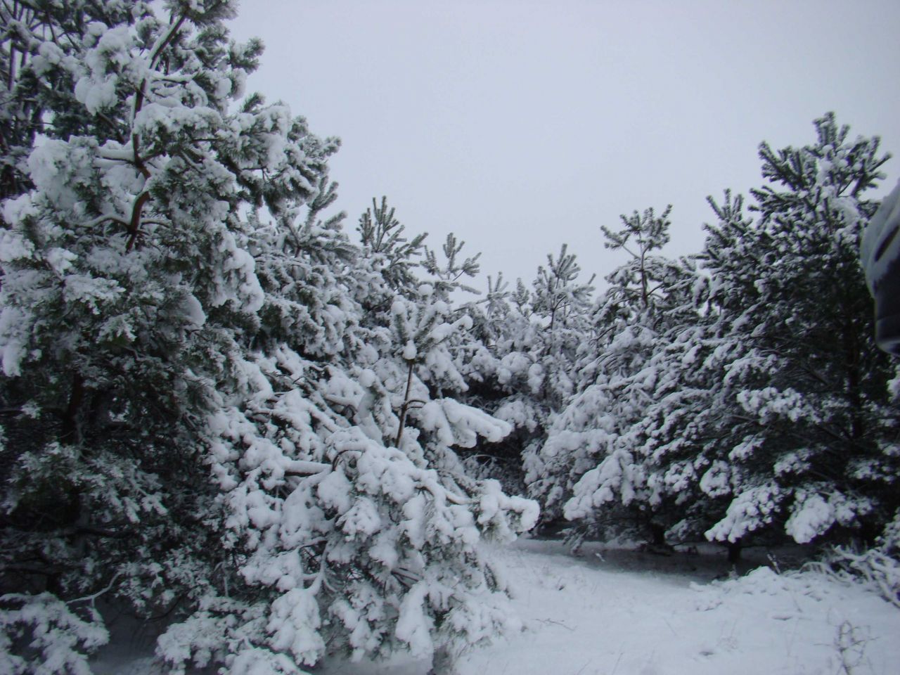 Działka rolna Uniemino. Zdjęcie 4