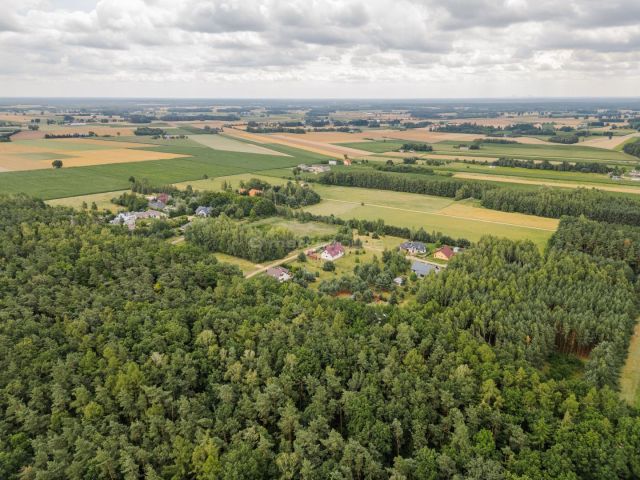 dom wolnostojący, 6 pokoi Żabiczyn. Zdjęcie 19