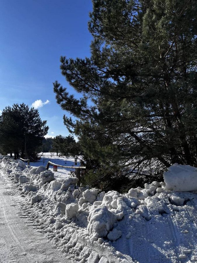 Działka rolna Bojano, ul. Wrzosowa. Zdjęcie 3