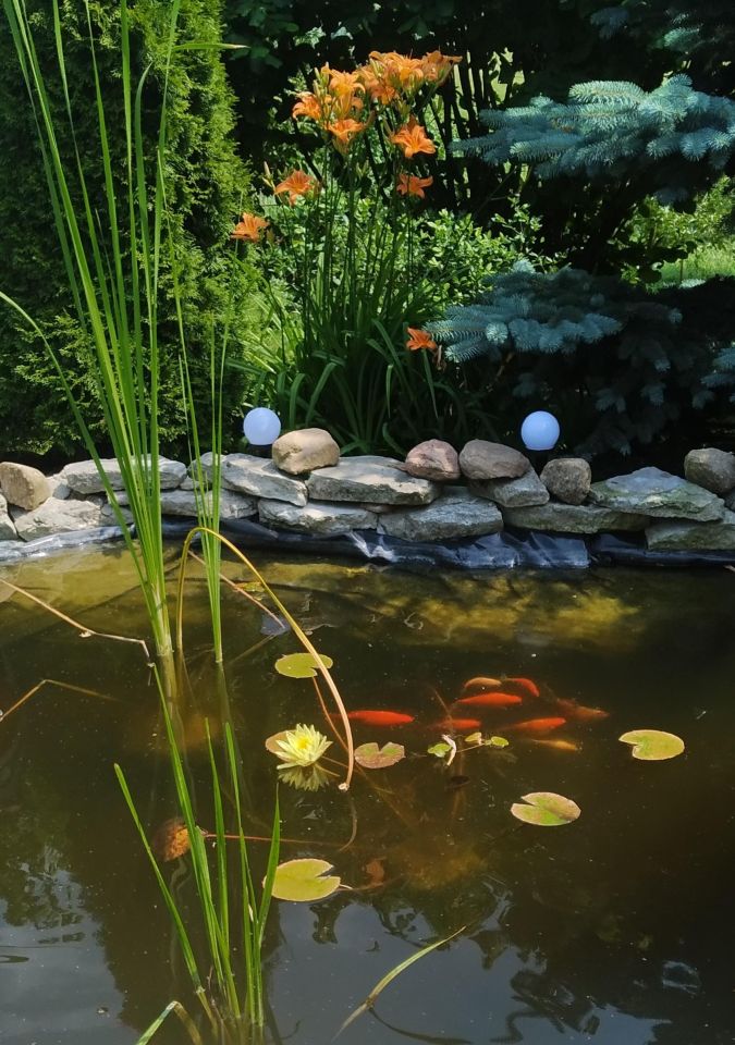 dom wolnostojący, 2 pokoje Chełm Chełmska Starówka, Uchanka. Zdjęcie 2