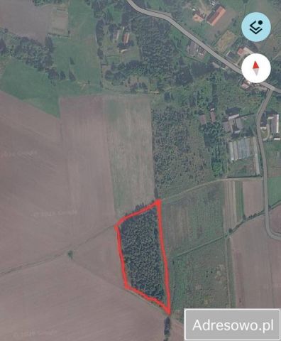 Działka rolna Stara Kopernia. Zdjęcie 1