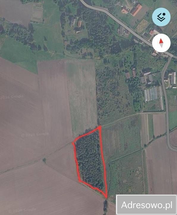 Działka rolna Stara Kopernia. Zdjęcie 1
