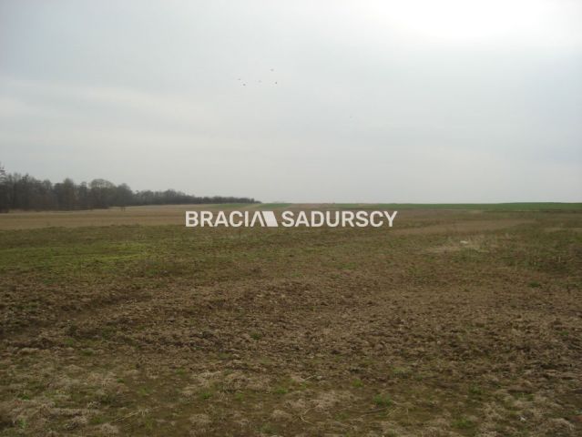 Działka inwestycyjna Morawica. Zdjęcie 41