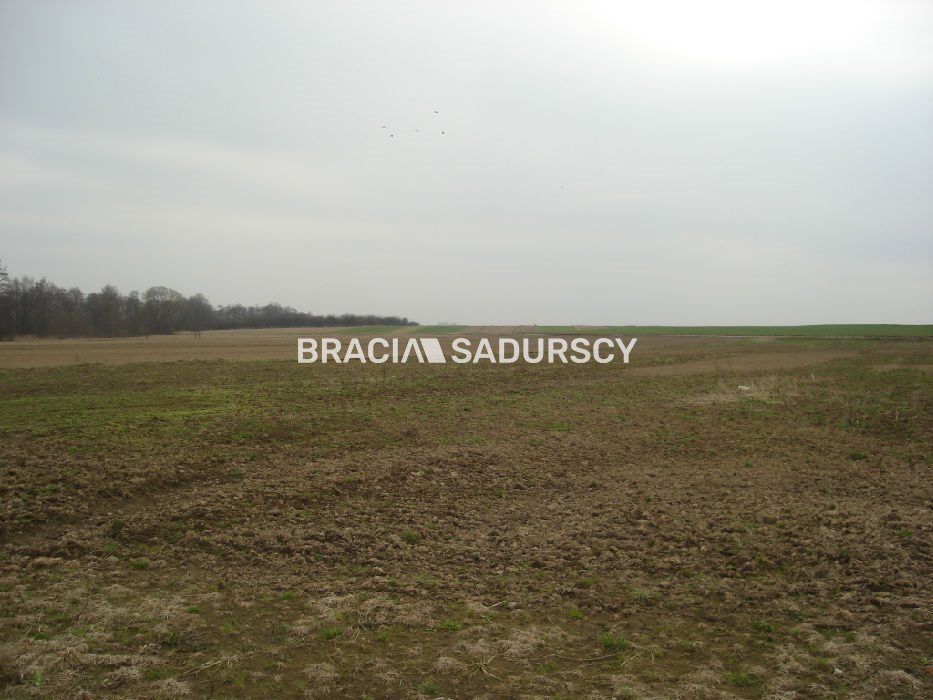 Działka inwestycyjna Morawica. Zdjęcie 41