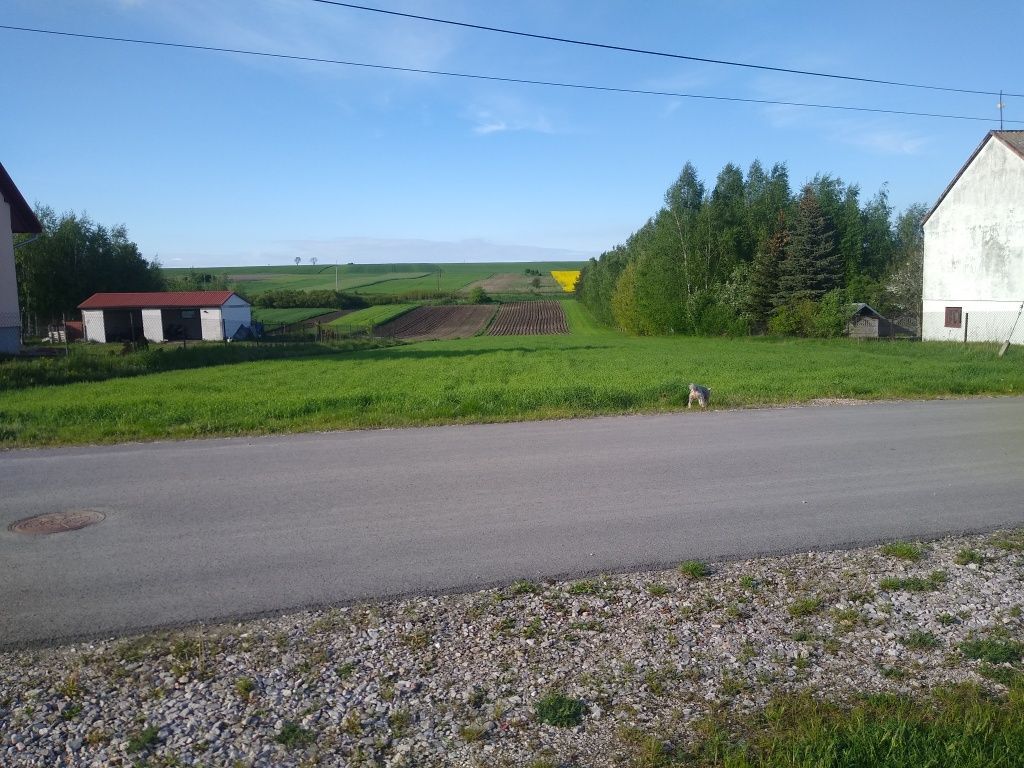 Działka rolno-budowlana Miąsowa. Zdjęcie 3