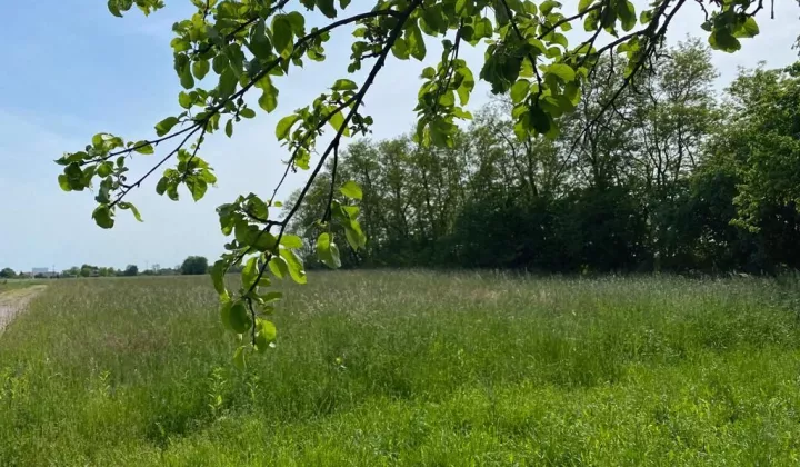 Działka budowlana Dąbrówka, ul. Kościelna