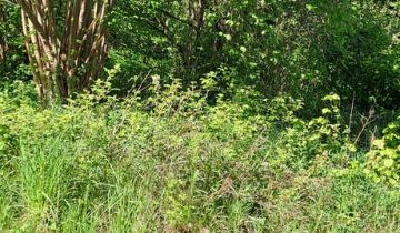 Lokal Polanów, ul. Młyńska