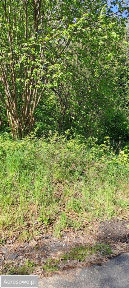 Lokal Polanów, ul. Młyńska. Zdjęcie 2