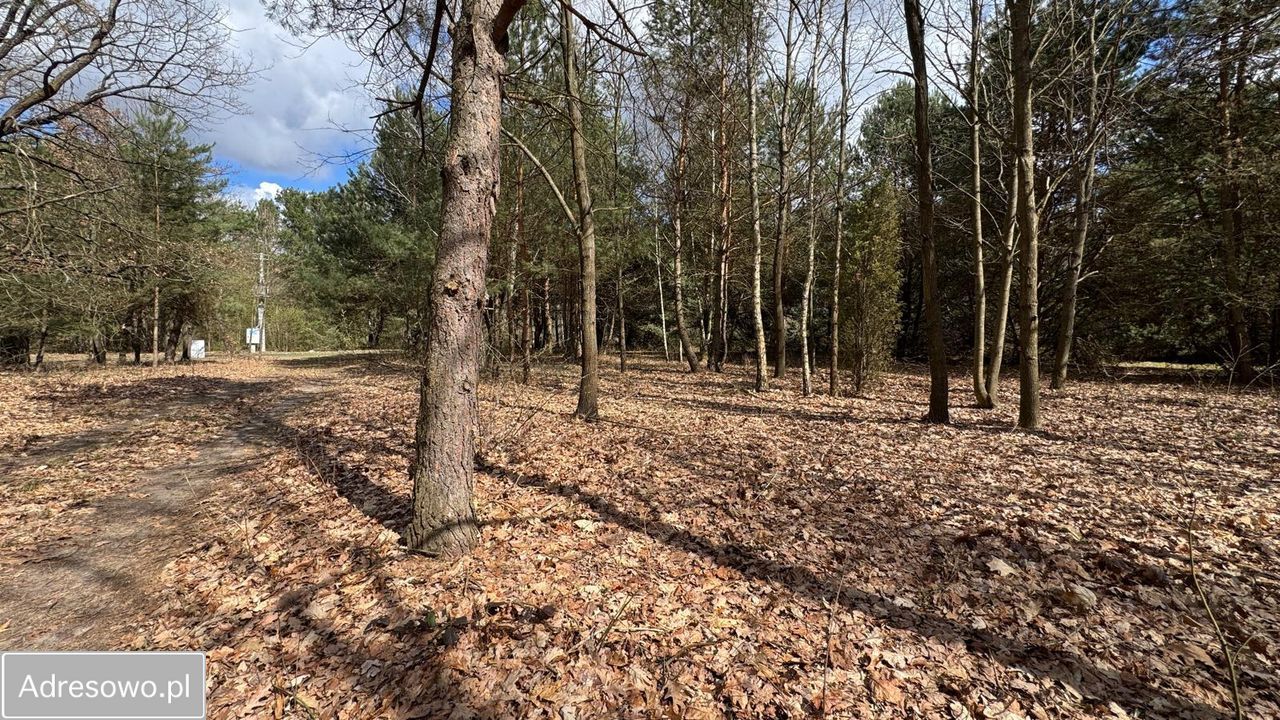 Działka budowlana Ignacówka Bobrowska. Zdjęcie 5