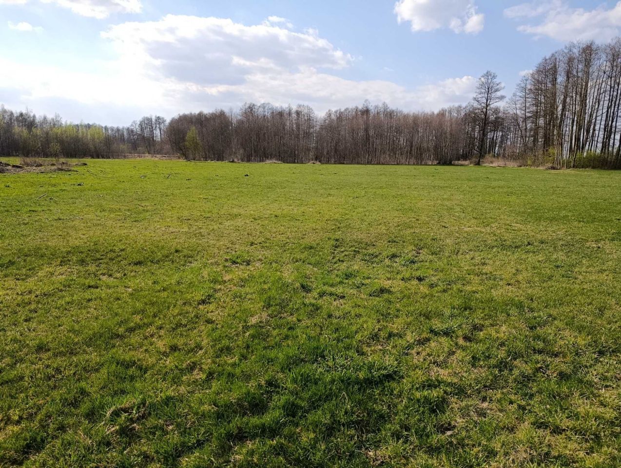 Działka rolna Kożuszki. Zdjęcie 4