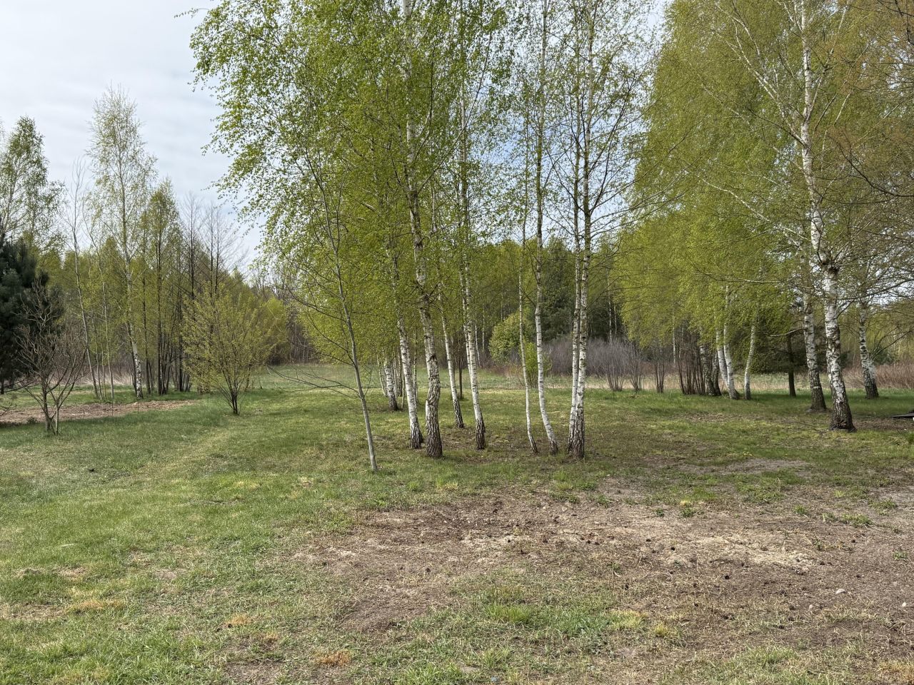 dom wolnostojący, 5 pokoi Pogorzel, Mińska. Zdjęcie 28