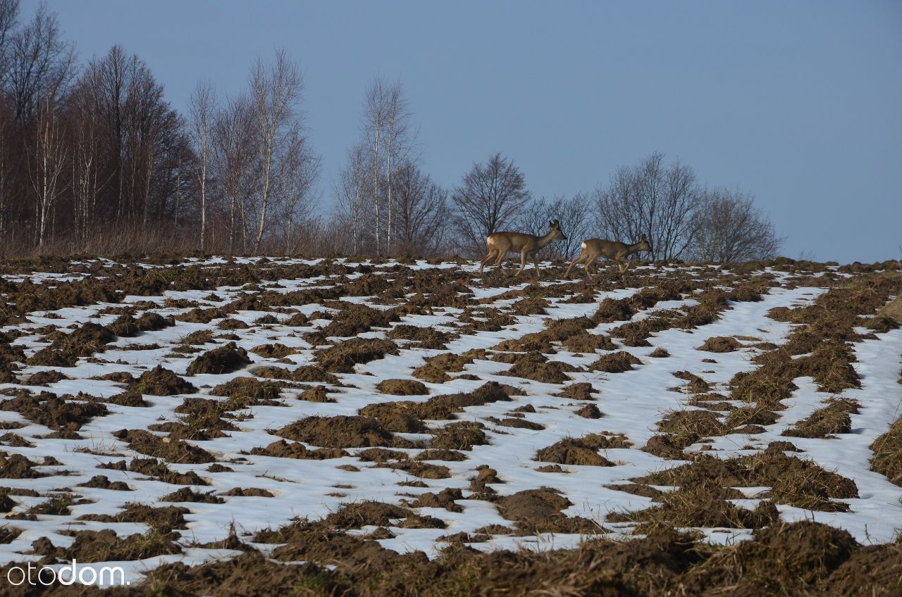 Działka budowlana Trojanowice, ul. Widokowa. Zdjęcie 20